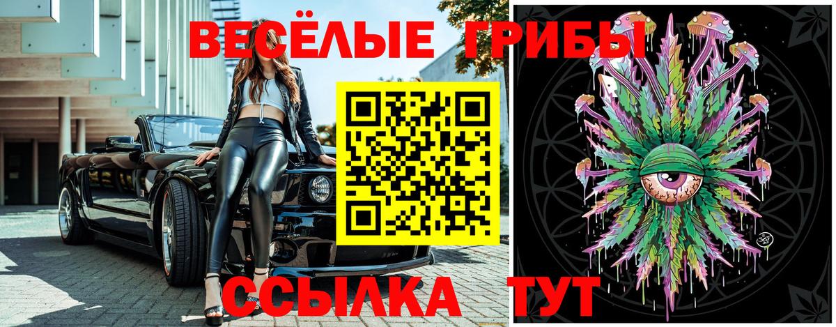 Галлюциногенные грибы ЛСД  Вход с VPN  Ногинск  Галлюциногенные грибы Magic Shrooms 